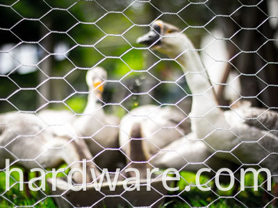 goose cage 